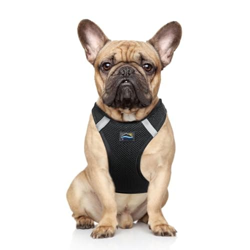 רתמה לכלב — Doggie Design Dog Harness - No Choke Dog Harness, Dog Vest, Mesh Polyester, Pet 