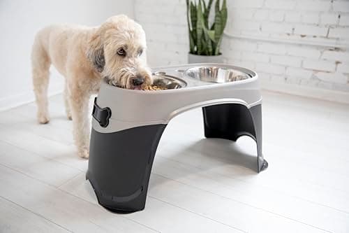 קערת האכלה לכלב — Petmate Easy Reach Pet Diner Elevated Dog Bowls 2 Sizes 2 Polished Colors, Black