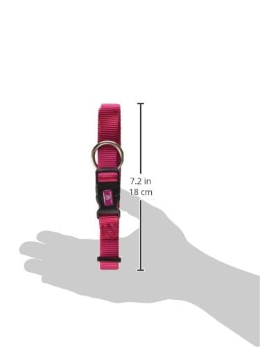קולר לכלב — Hamilton Adjustable Dog Collar, 3/4-Inch, Raspberry