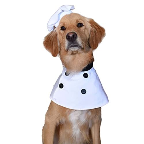 תחפושת לכלב — Pet Krewe Chef Uniform Dog Costume Fits Dogs Size Small, Medium, Large or Extra 
