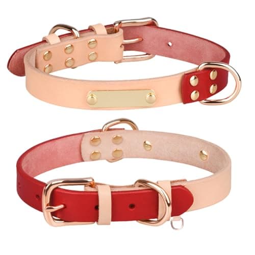 קולר לכלב — Yonsbox Personalized Dog Collar with Nameplate – Genuine Leather, Engraved Pet I