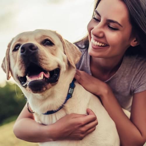 תג שם לכלב — Custom Slide On Pet Tag ID, Silent Custom Dog Tags, Personalized Stainless Steel