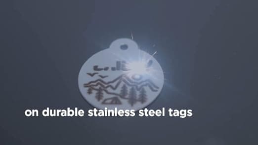 תג שם לכלב — GoTags Personalized Pet ID Tags, Solid Brass Dog Tags and Cat Tags, up to 6 Line