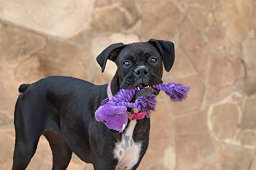 צעצוע חבל/כדור לכלב — Multipet Rope Body Loofa 6" Dog Toy