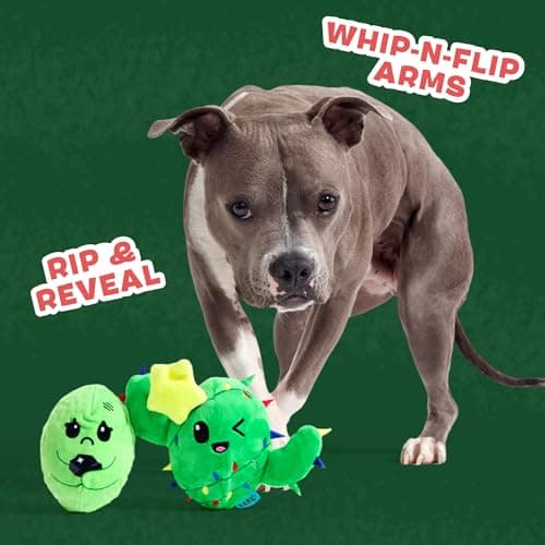 צעצוע פלאש לכלב — Barkbox Consuela The Christmas Cactus Dog Toy – Plush Rip & Reveal Holiday Toy w