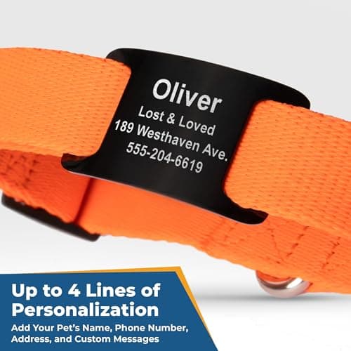 קולר לכלב — GoTags Reflective Personalized Dog Collar with Nameplate, Adjustable Dog Collar 