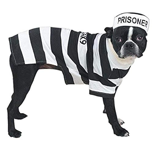 תחפושת לכלב — Casual Canine Prison Pooch Costume for Dogs, 24" XL, Black and White