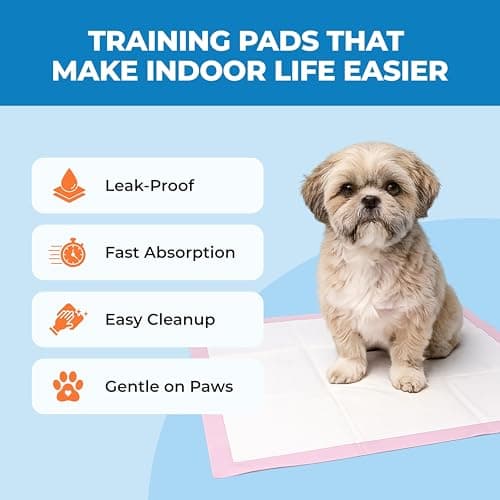 פד לכלב — Best Pet Supplies Puppy Pads (22.5 x 22 Inches) - Disposable, Dog Training Potty