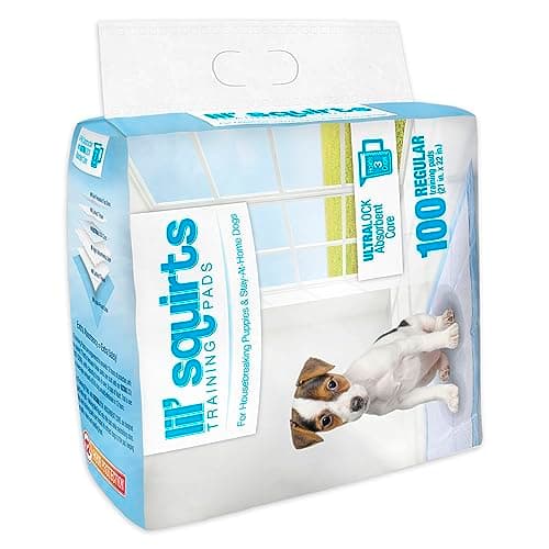 פד לכלב — RUFFIN' IT Lil' Squirts Puppy Training Pads 100 Pk.