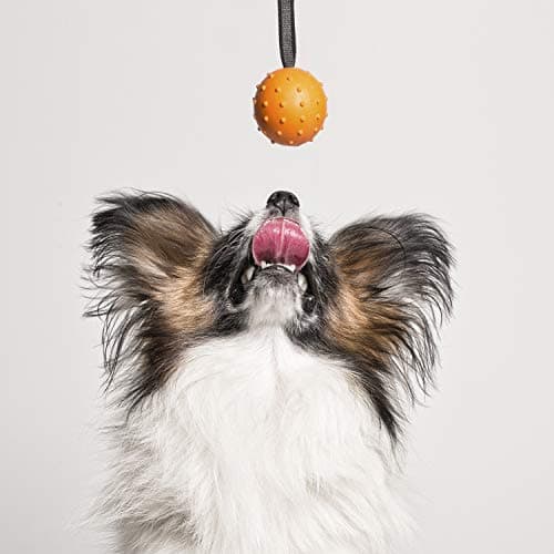 צעצוע חבל/כדור לכלב — Dog ball - ball round rope with GLORIA - 7 cm x 30 cm long - Ball flexible and t