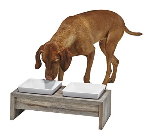 קערת האכלה לכלב — Bowsers Artisan Diner Double Dog Feeder - Handcrafted Rubberwood Frame with Squa