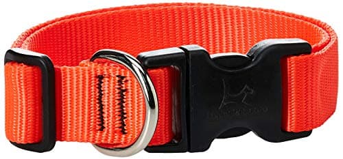 קולר לכלב — LupinePet Basics 1" Blaze Orange 12-20" Adjustable Collar for Medium and Larger 