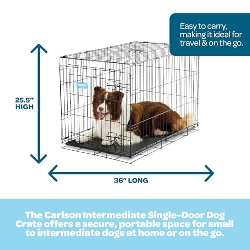 מלונה לכלב — Carlson Pet Products Single Door Metal Dog Crate, Intermediate 36" Dog Crate for