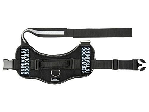 רתמה לכלב — Doggie Stylz Service Dog in Training Vest with Hook and Loop Straps and Handle –