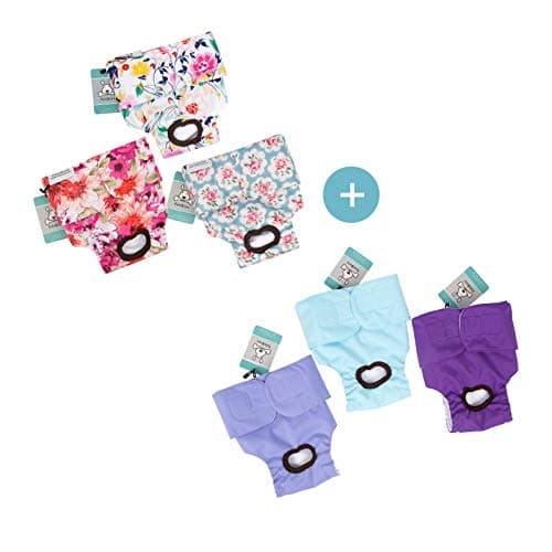 חיתול לכלב — CuteBone Small Dog Diapers Female Bundle | Floral Doggie Diapers & Classic Puppy