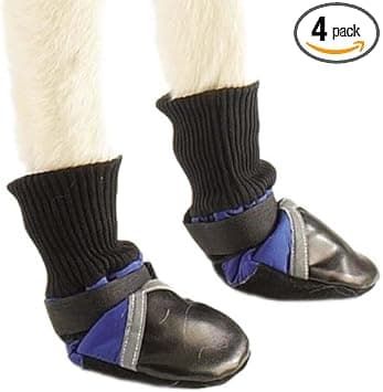 נעליים לכלב — Dog Boots - Summer or Winter Protection - Large