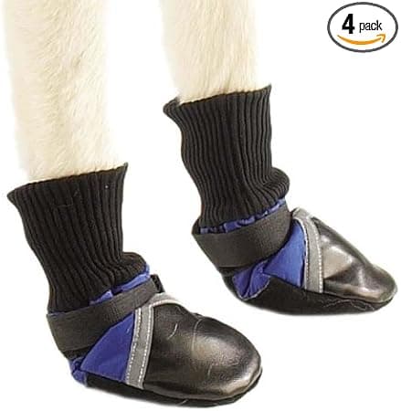 נעליים לכלב — Dog Boots - Summer or Winter Protection - Large