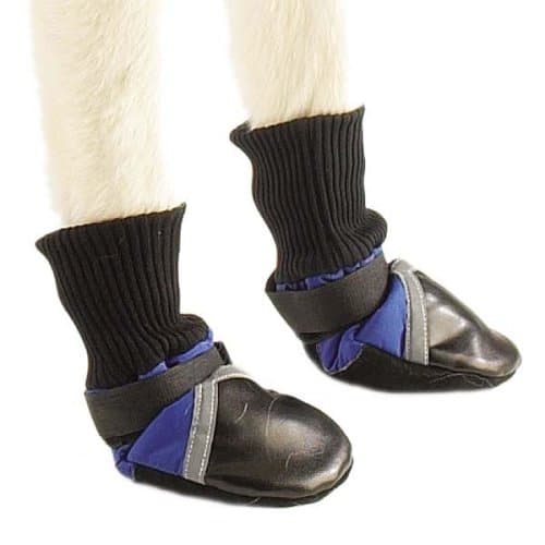 נעליים לכלב — Dog Boots - Summer or Winter Protection - Large