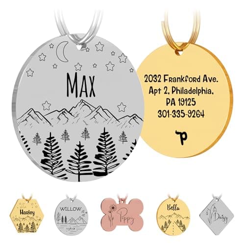 תג שם לכלב — PawFurEver Custom Engraved Pet ID Tag – Personalized Dog Name Tag for Dogs and C