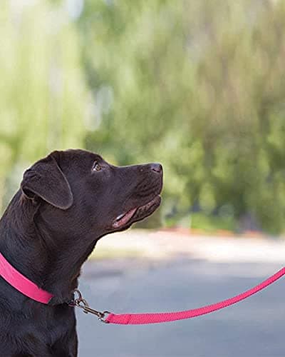 קולר לכלב — Joytale 14-20 inches Dog Collar and 6FT Leash, Reflective Soft Neoprene Padded P