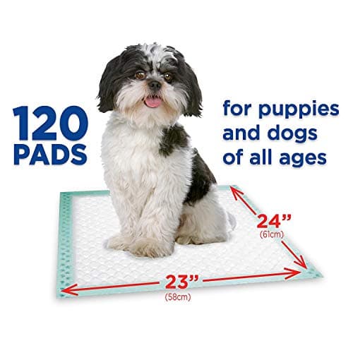 פד לכלב — Member's Mark Member's Mark Puppy Multipurpose absorbent Pads Net Count 120 Pads