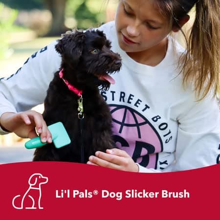 מברשת טיפוח לכלב — Coastal Pet - Li'l Pals Slicker Brush with Coated Tips and Double-Sided Comb for