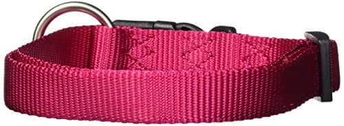 קולר לכלב — Hamilton Adjustable Dog Collar, 3/4-Inch, Raspberry