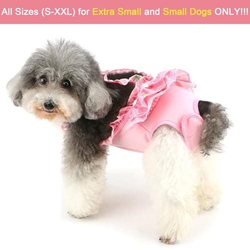 חיתול לכלב — Zunea Washable Female Small Dog Diapers for XS/S Size Dogs Adjustable Suspender 