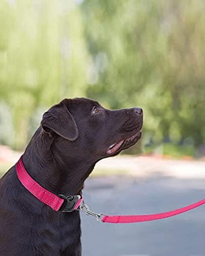 קולר לכלב — Joytale 6FT1'' Dog Leash and Collar (16-24"), Reflective Soft Neoprene Padded Pe