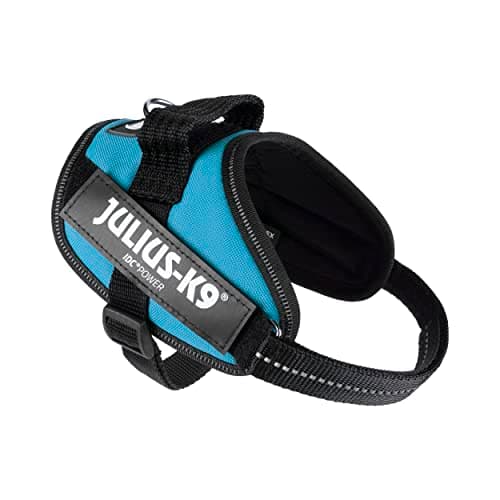 רתמה לכלב — Julius-K9, 16IDC-AM-MM, IDC Powerharness, Dog Harness, Size: Mini-Mini, Aquamari