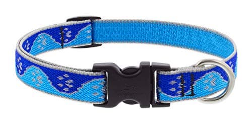 קולר לכלב — Lupine Reflective Small Dog Collar 3/4" Wide Blue Paws Adjusts from 9" to 14"