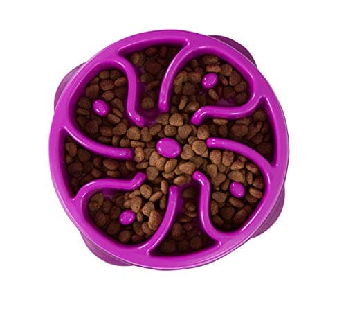 צעצוע חשיבה לכלב — Outward Hound Fun Feeder Slo Bowl (Medium/Mini, Purple) and Outward Hound Nina O