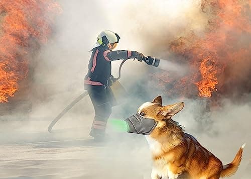 מחסום פה לכלב — 3 Pcs Adjustable Gas Mask for Dogs - Reusable, Breathable Air Filter and Respira