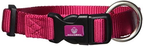 קולר לכלב — Hamilton Adjustable Dog Collar, 3/4-Inch, Raspberry