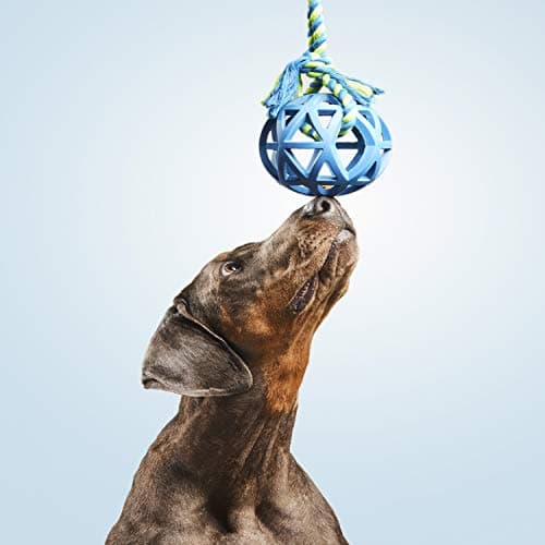 צעצוע חבל/כדור לכלב — GLORIA Dog Toy Rubber Ball With Rope To Launch - Varied Color - Size 9Cm X 30Cm 