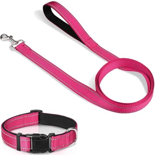 קולר לכלב — Joytale 6FT1'' Dog Leash and Collar (16-24"), Reflective Soft Neoprene Padded Pe