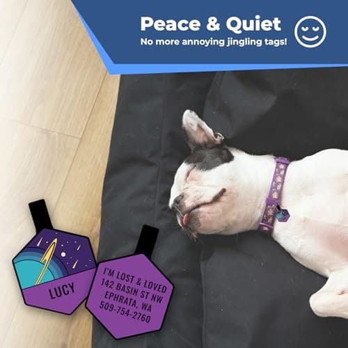 תג שם לכלב — GoTags Silent Dog Tag, Personalized Engraved Hexagon Silicone Dog and Cat Name P