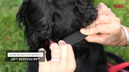 קולר לכלב — HALTI Comfort Collar - Nylon and Neoprene-Padded Comfy Dog Collar, Reflective, E