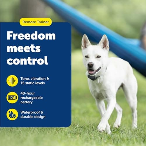 עזר אילוף לכלב — PetSafe 300 Yard Remote Training Collar – Smaller Version for Small or Medium Do