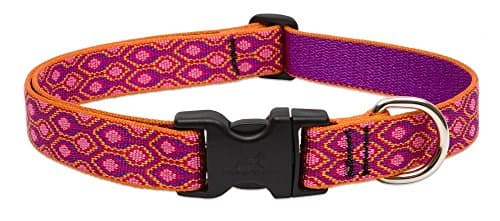 קולר לכלב — LupinePet Originals 1" Alpen Glow 12-20" Adjustable Collar for Medium and Larger
