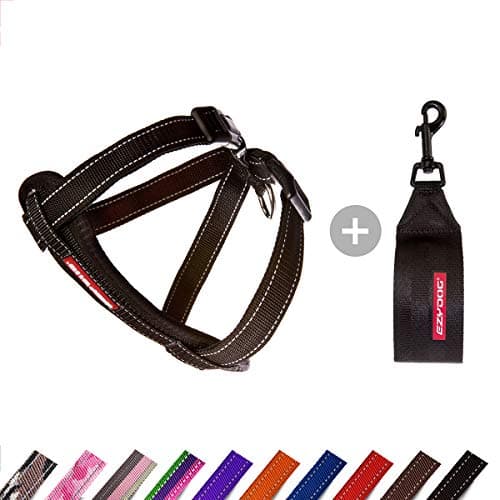 רתמה לכלב — EzyDog Adjustable Chest Plate Harness - Small, Medium, XL, & Large Dogs - Step-I