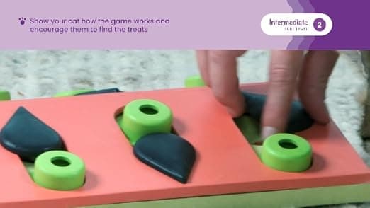 צעצוע חשיבה לכלב — Catstages Kitty Cube Interactive Treat Puzzle Cat Toy, Blue