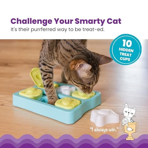 צעצוע חשיבה לכלב — Catstages Kitty Cube Interactive Treat Puzzle Cat Toy, Blue