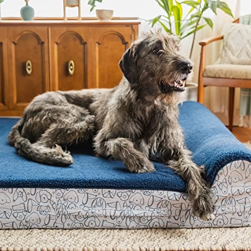 מיטה אורטופדית לכלב — Harry Barker Premium Waterproof Orthopedic Pet Bed, 11" Thick, Three Layers of F