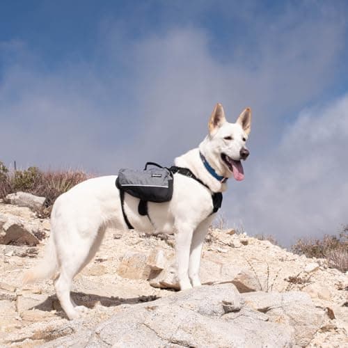 נשאית/תיק לכלב — Adventure Backpack - Pink - L