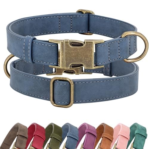 קולר לכלב — Didog Soft PU Leather Dog Collar, Stylish Quick Released Dog Collar for Large Do