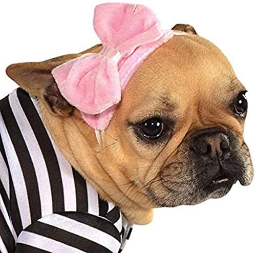 תחפושת לכלב — Rubies Fifties Girl Pet Costume for Dogs or Cats, Medium