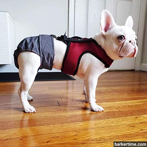 חיתול לכלב — Dog Diaper Suspender Harness - Burgundy Mesh Diaper Suspender Harness to Keep Do