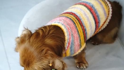 בגדים לכלב — Blueberry Pet Dog Sweater - Award-Winning Christmas Sweater, Soft Knit Dog Cloth