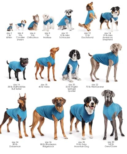 מעיל לכלב — Goldpaw Duluth Double Fleece Dog Sweater Vest for Small Dogs - Soft, Stretchy Do
